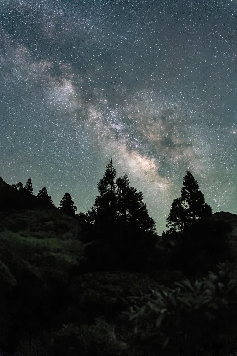 Time Travel Adventure Image
